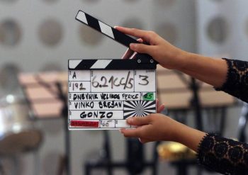 Dnevnik velikog Perice